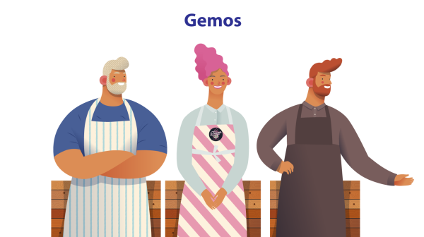 copertina-articolo-gemos1